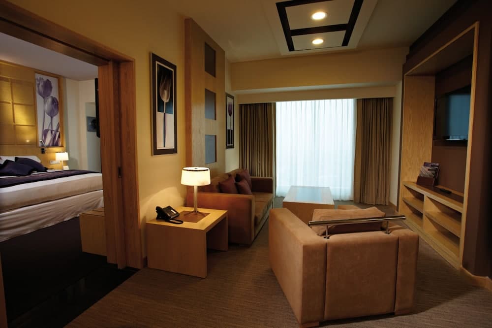 Hotel Riu Plaza Guadalajara 5